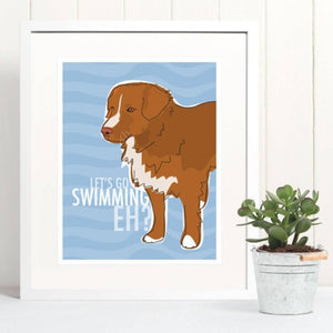 Let's Go Swimming, EH?