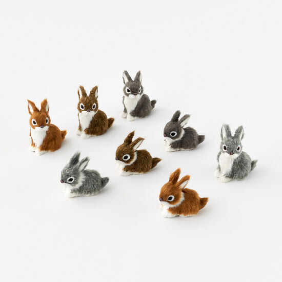 Furry Bunnies